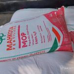 Pupuk KCL Mahkota MOP _ 3 kali bayar