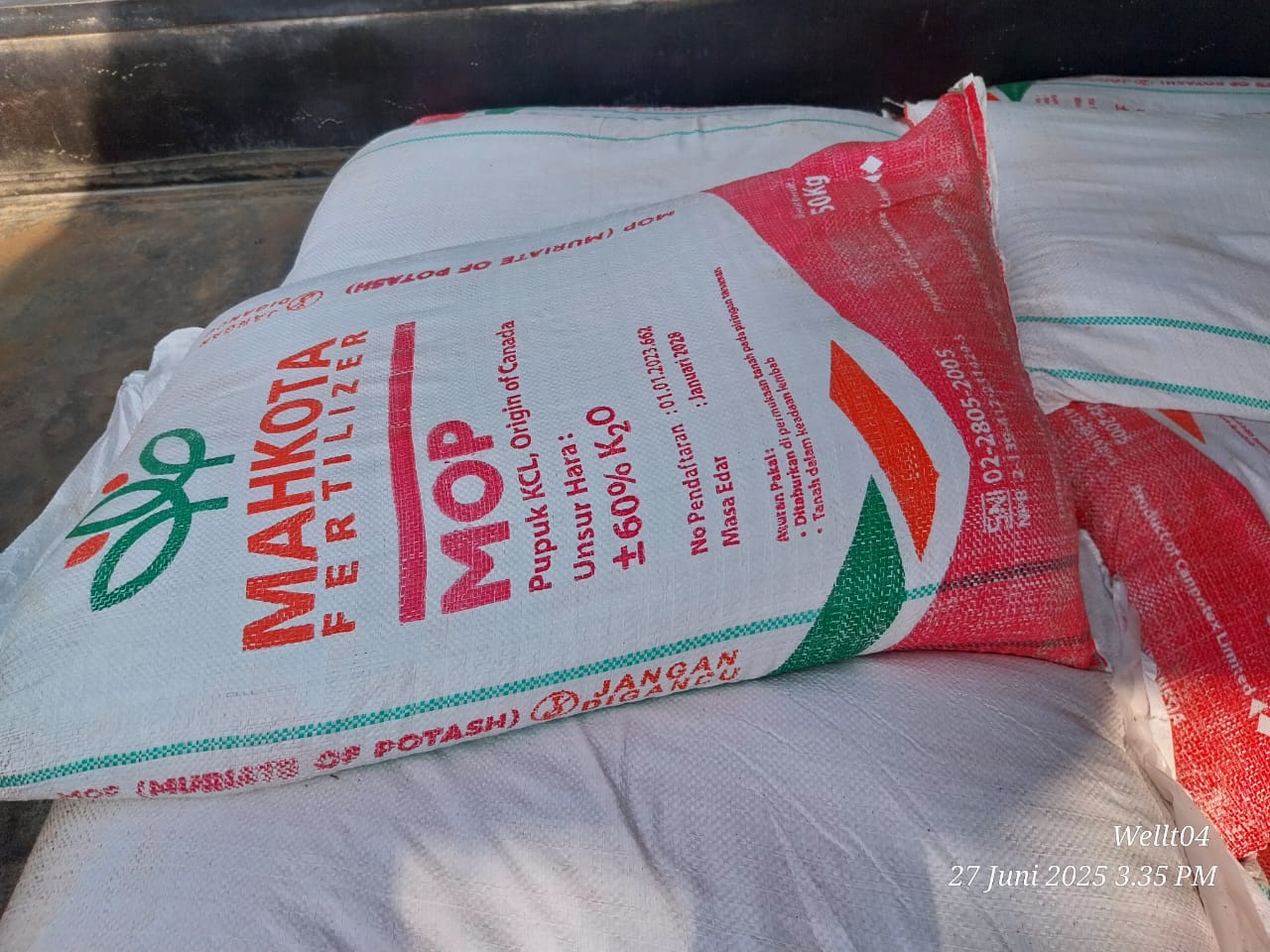 Pupuk KCL Mahkota MOP _ 3 kali bayar